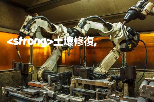 <strong>土壤修復,危廢資源化龍頭危險廢棄物處理的專業(yè)之道：安全高效的施工技術(shù)</strong>